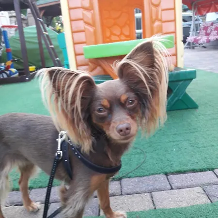 Reksor * Miedzyzdroje