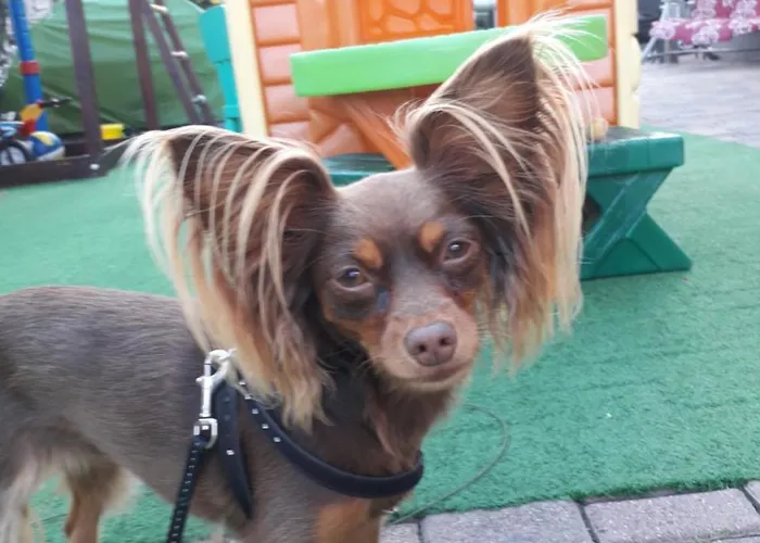 Reksor * Miedzyzdroje